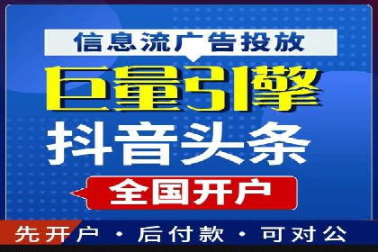 百度竞价赚钱的实战案例分析